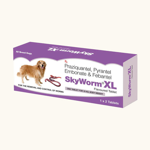 Skyec Skyworm XL Dog Deworming Tablet