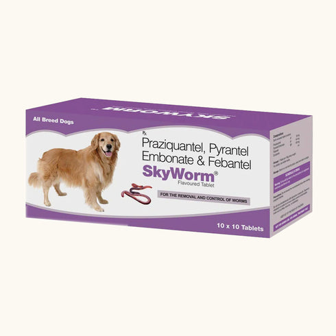 Skyec Skyworm Dog Deworming Tablet