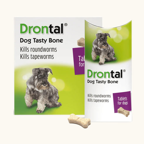 Bayer Drontal Plus Tasty Dog Deworming Tablet