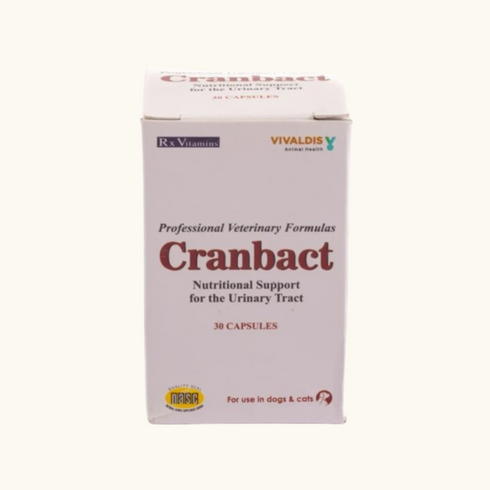 Vivaldis Cranbact Capsules for Dogs and Cats