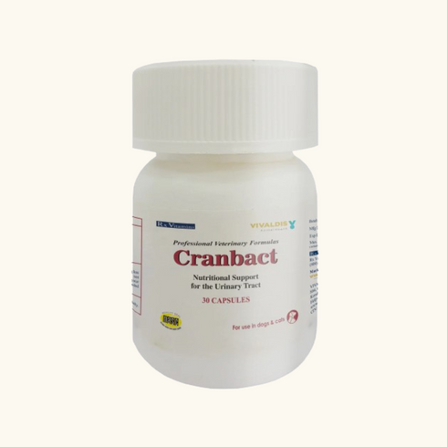 Vivaldis Cranbact Capsules for Dogs and Cats