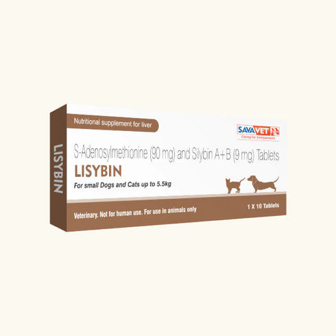 Savavet Lisybin Tablet