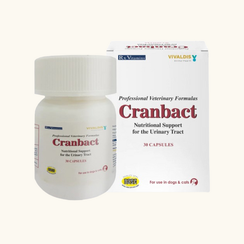 Vivaldis Cranbact Capsules for Dogs and Cats