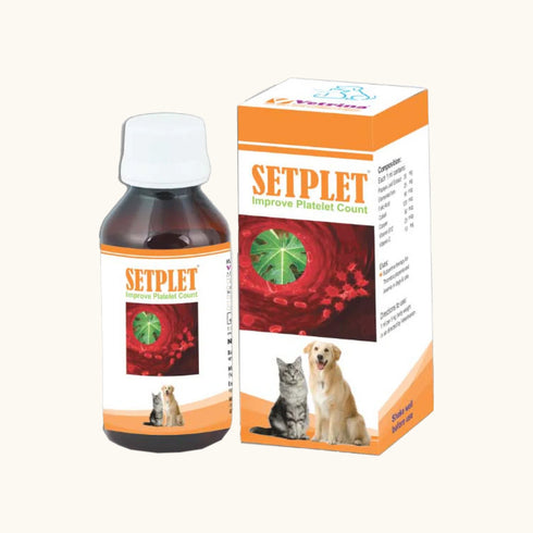 Vetrina Setplet Syrup
